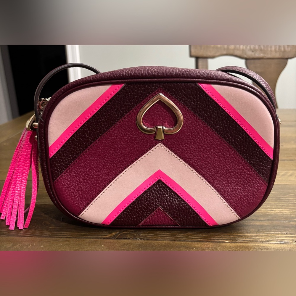 Kate Spade Kourtney Pink and Maroon Chevron Camera Crossbody Bag